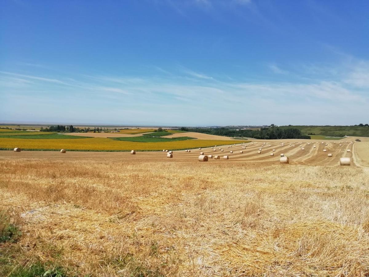 Gasthof Chateau Des Salles Saint-Fort-sur-Gironde