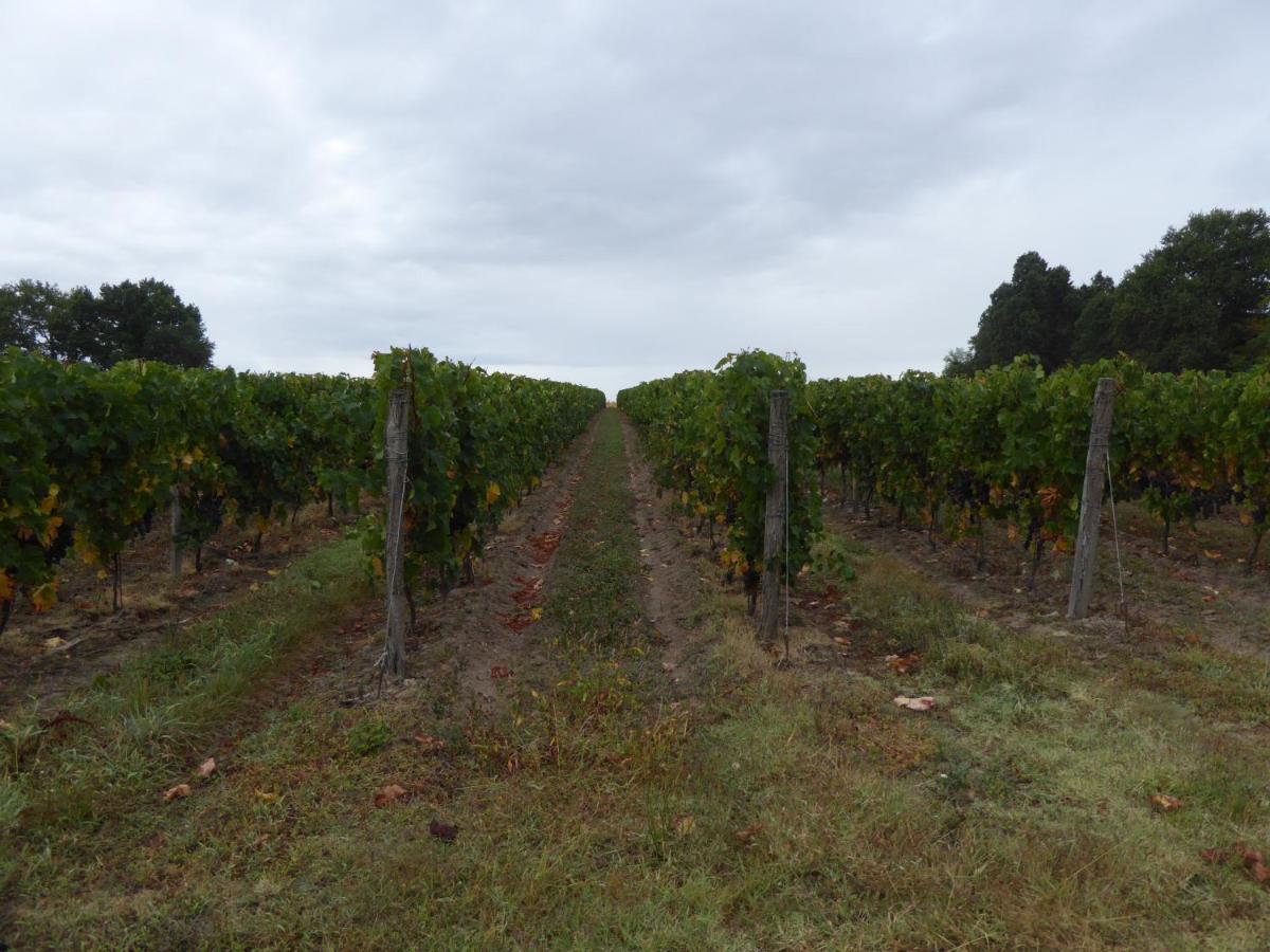 Chateau Des Salles 3* Saint-Fort-sur-Gironde
